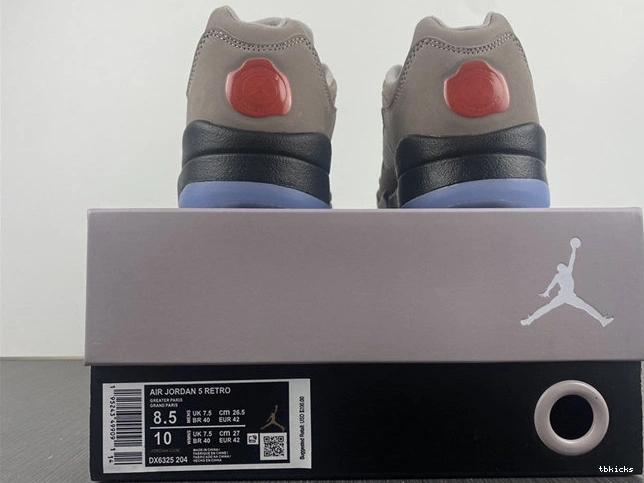 Cheap TBK 4006 DX6325- TechFriendly Jordan5 Low 1026